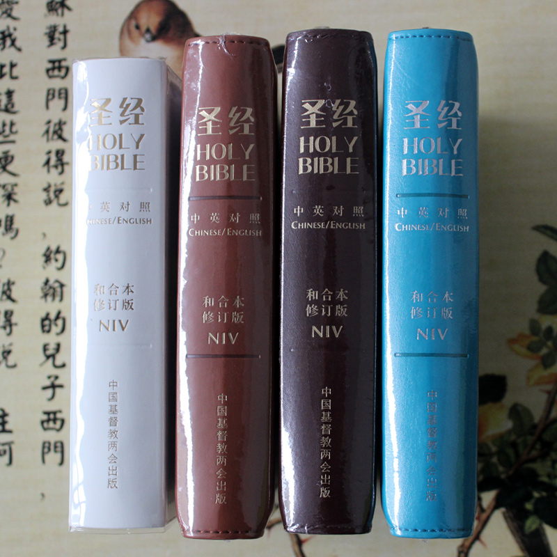 圣经最新版本的神秘宝藏探索之旅