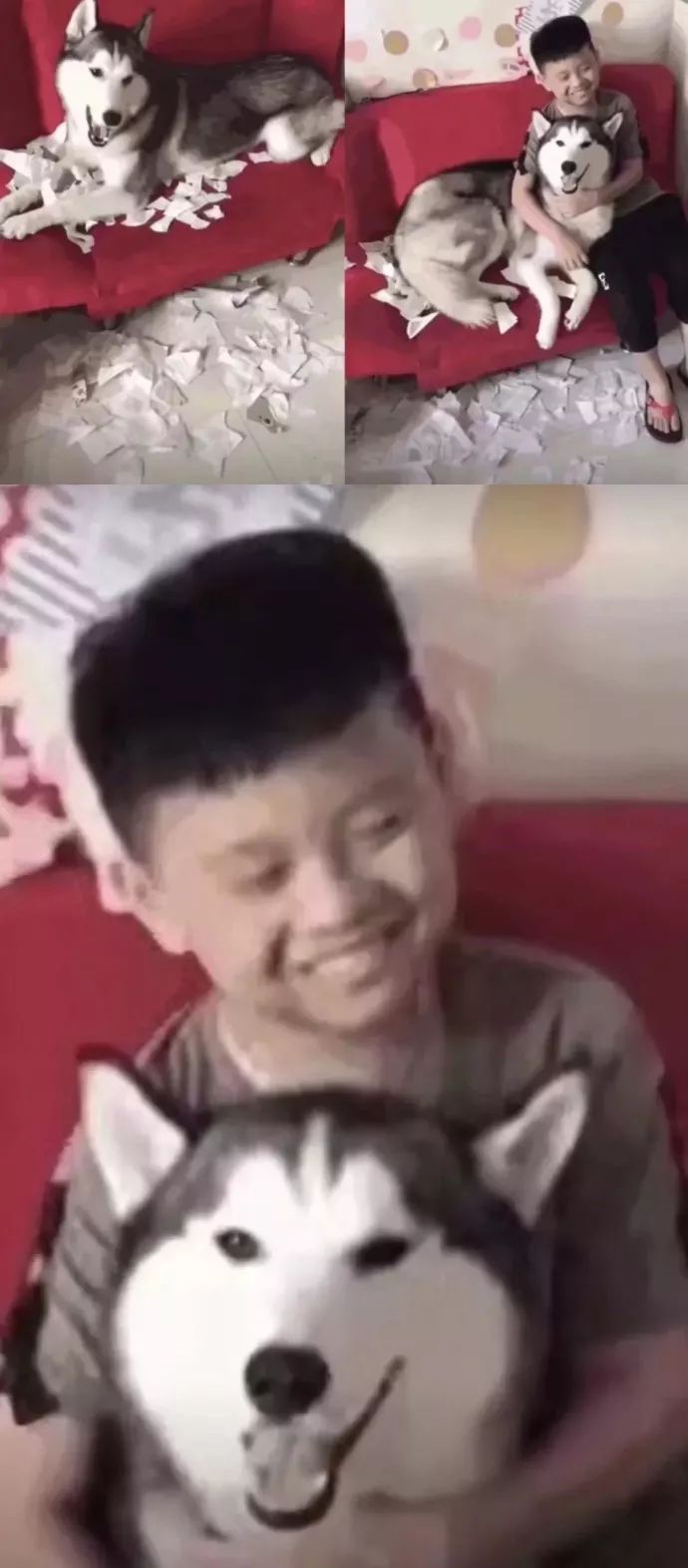 宝贝疼你，深情宠溺的浪漫之旅最新章节