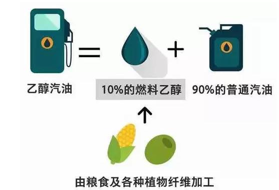 河北禁养区最新动态，变化中的力量与成就感的源泉