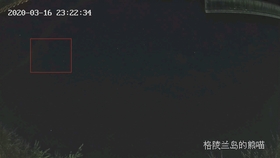 南天最新视频，探秘小巷中的隐藏版特色小店