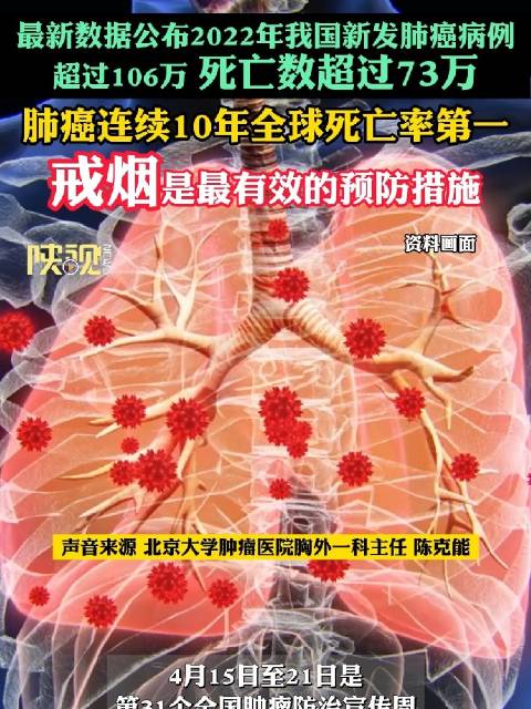 最新肺病数据背后的秘密，小巷特色呼吸健康小店的观察与解析