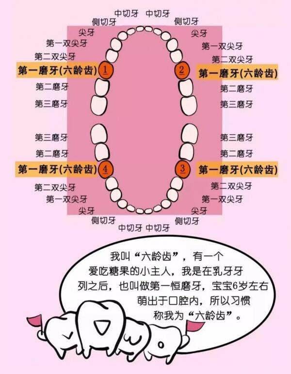 心灵与自然共舞之旅，探寻最新心灵的启程点