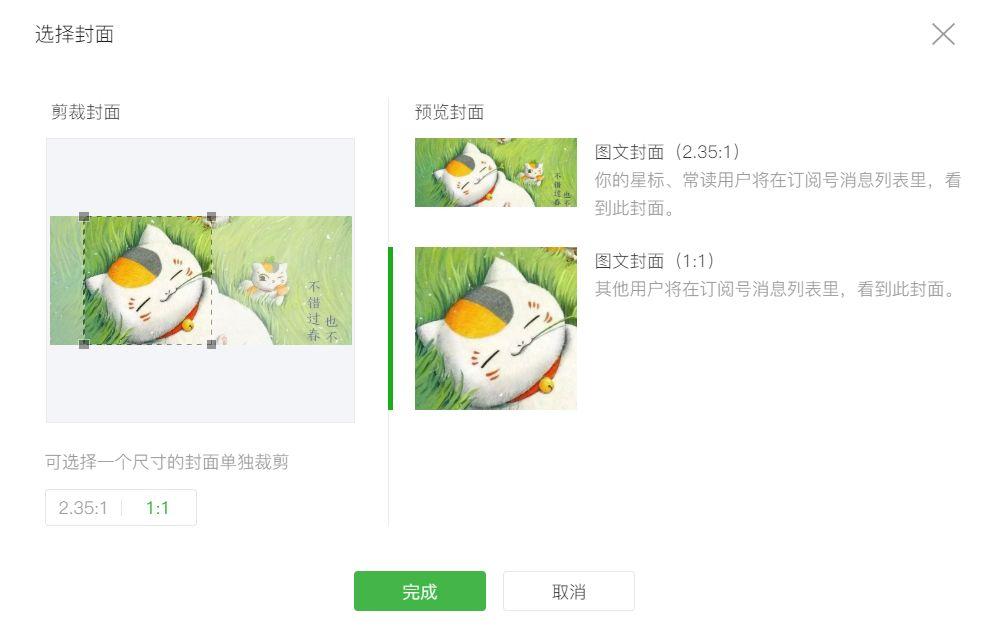最新封面图，视觉呈现与观点碰撞的冲击之美