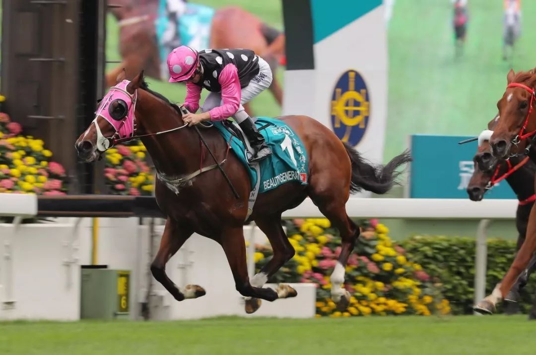 科技重塑马术世界，香港马最新速度与激情体验