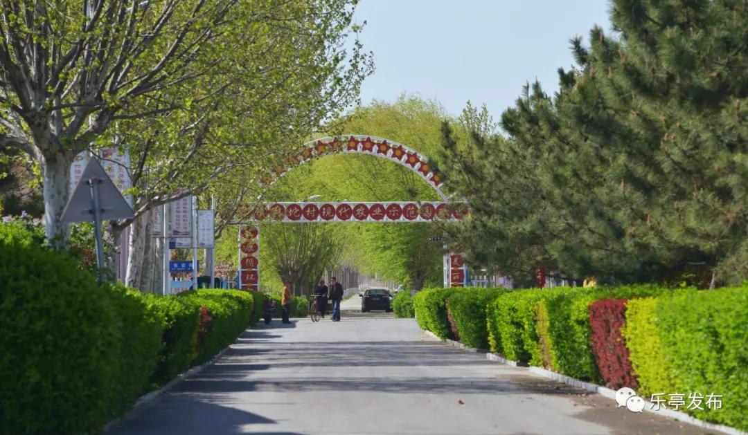 乐亭最新疫情动态，变化中的学习助力铸就自信与成就的力量