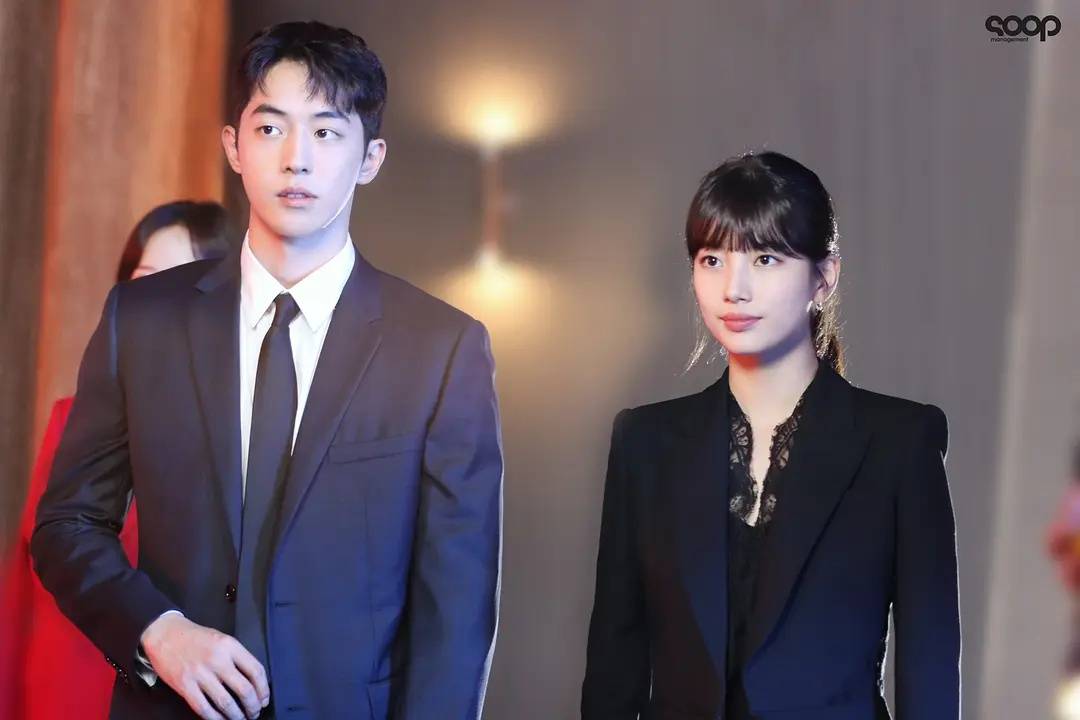 裴智秀最新韩剧，与自然共舞，探寻内心平和与喜悦的奇妙旅程