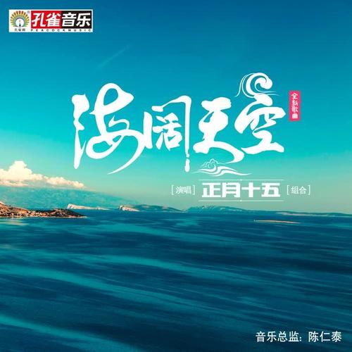 海阔最新歌曲，音乐浪潮与流行趋势的融合之声