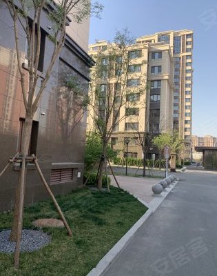 武清泰合府最新动态，揭开未来居住新篇章