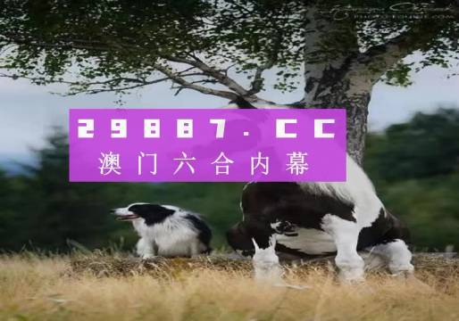 跑狗图新版2024》最新正版资料免费,稳健设计策略_ZBC23.756安静版