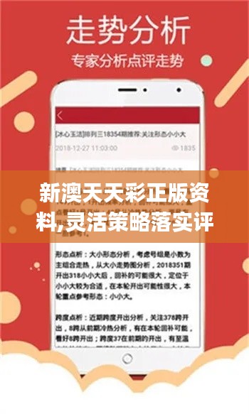 新澳天天开状资料最新资枓大全,实践调查说明_RXW23.371安全版