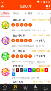 王中王一码一肖一特一中2024年,担保计划执行法策略_PMW23.426品牌版