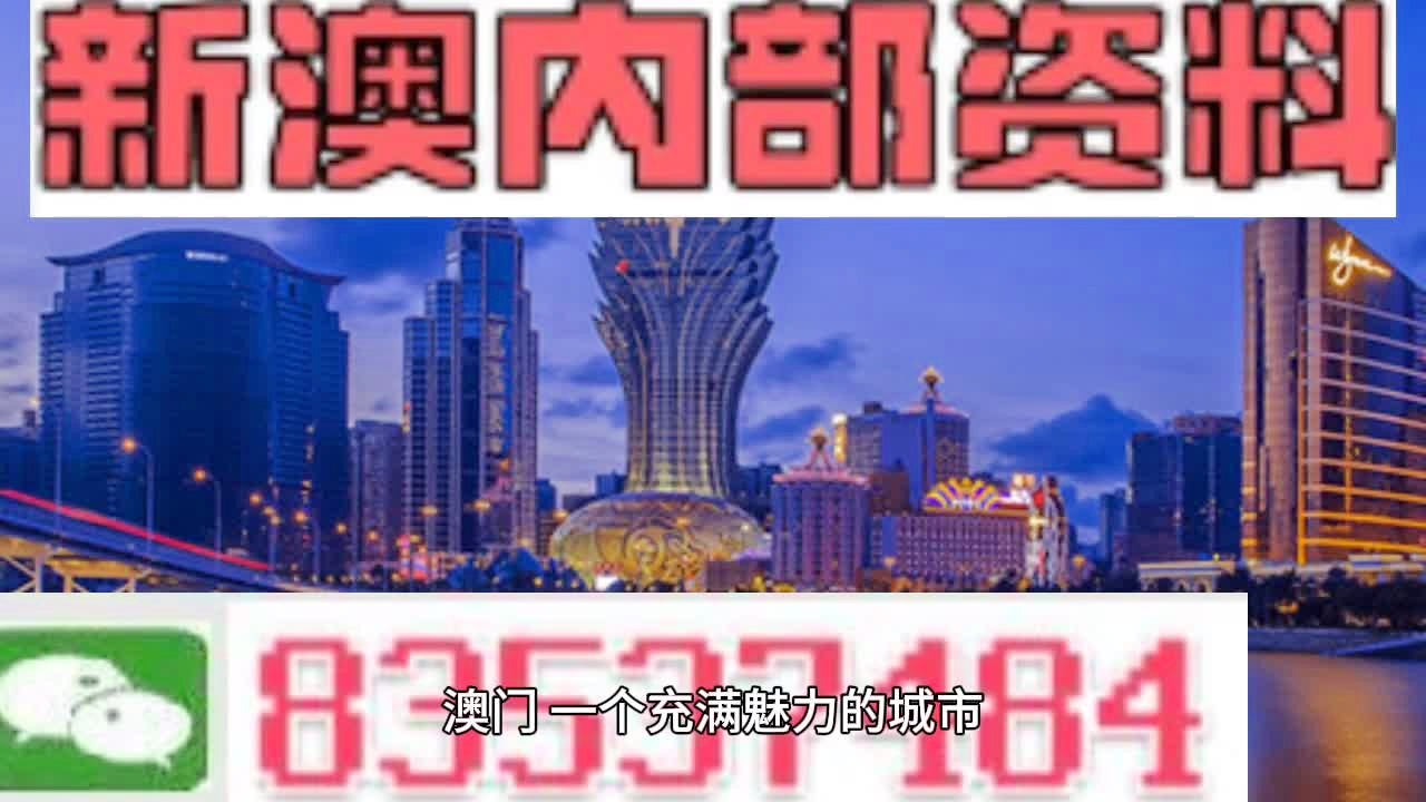 新澳门四肖三肖必开精准,实践调查说明_UOO23.997多维版