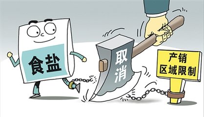 国家盐业改革进展，变革浪潮中的自信与成就感之源
