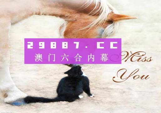 4949澳门天天彩大全,专业地调查详解_KGL79.437见证版