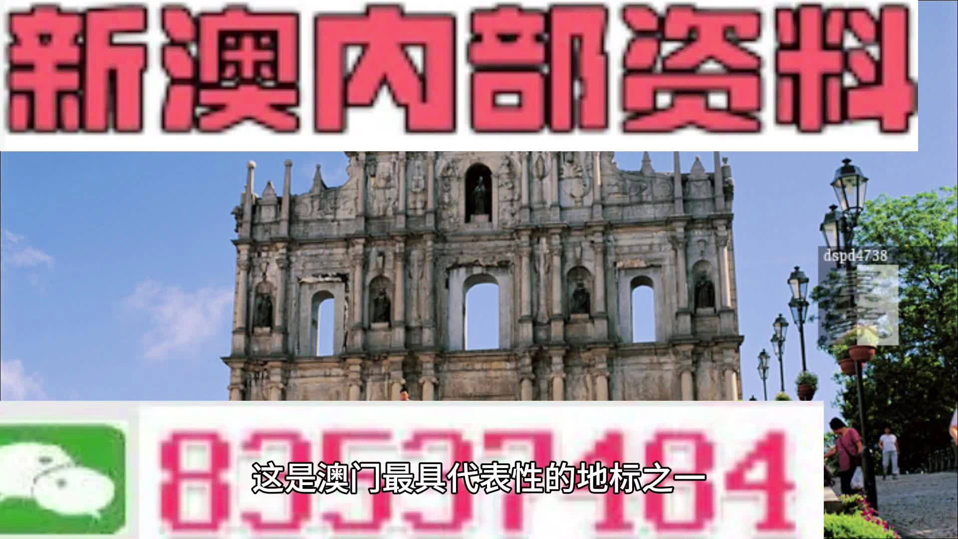 新澳门长期免费资料公开,社会承担实践战略_FXQ79.629生态版