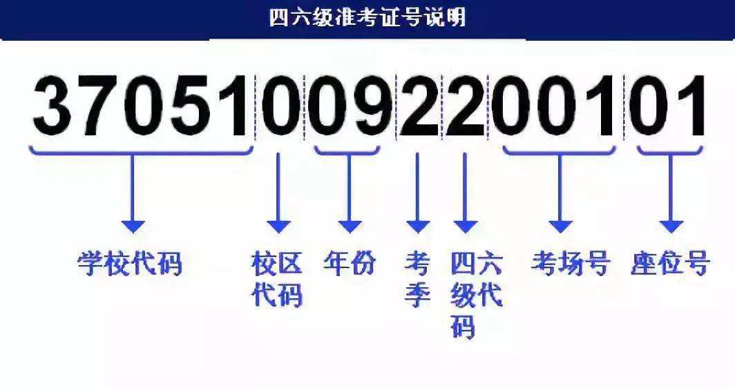 22324濠江论坛app,快速问题解答_OZV79.224定向版