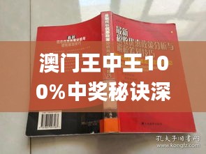 澳门王中五928244C0m,数据驱动决策_MJS79.135绝版
