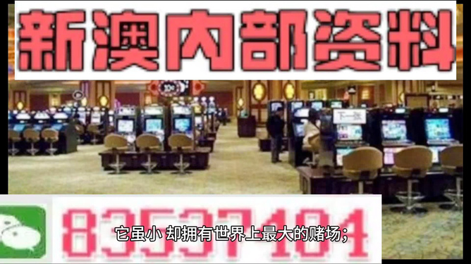 新澳门精准正版免费资料,解析解释说法_DNM79.765科技版