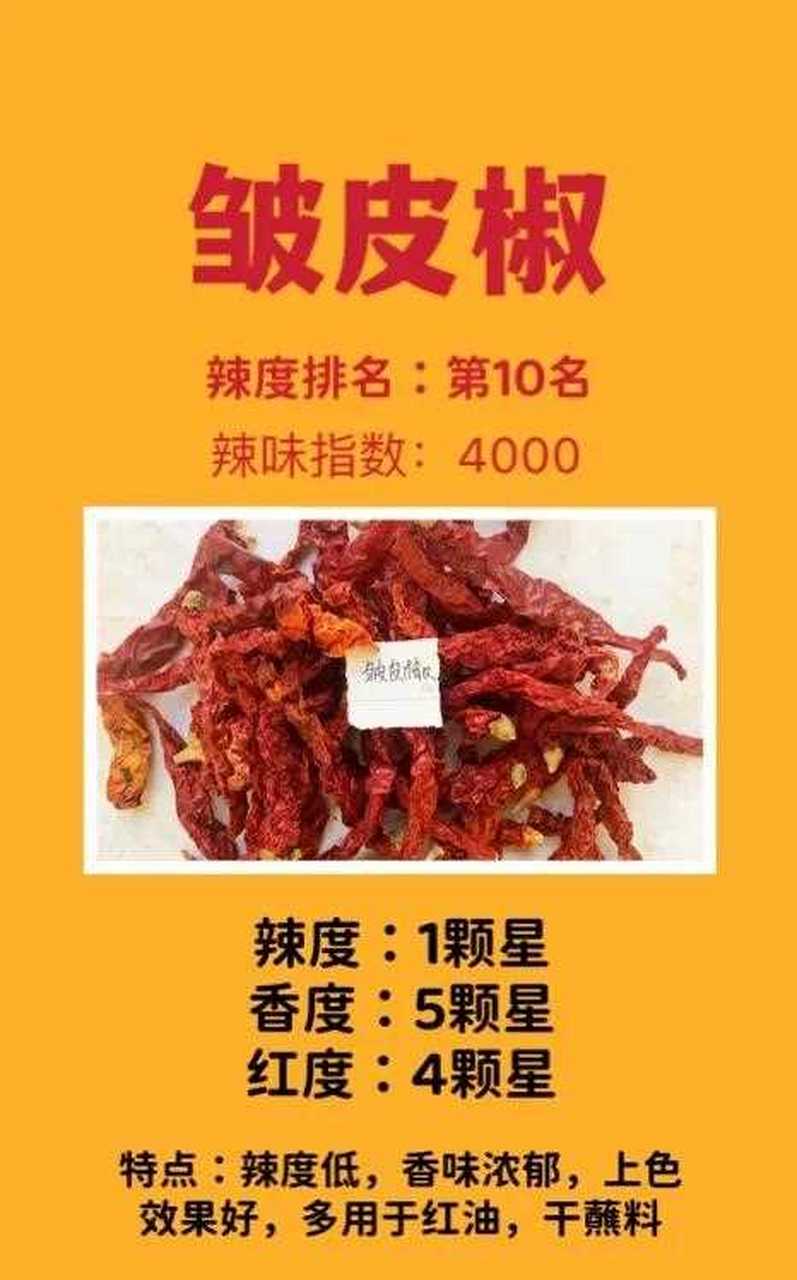 辣椒最新种植、收获与烹饪全程指南，从种植到餐桌的详细步骤解析