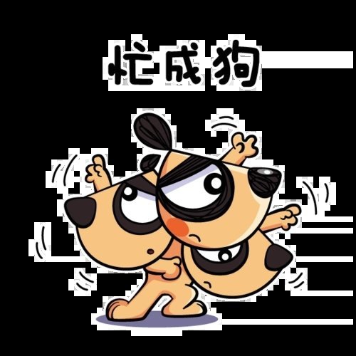 最忙最新生活节奏下的忙碌与新鲜探索之旅