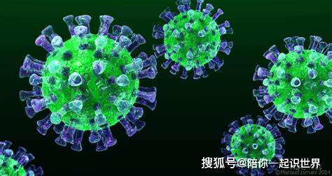 最新新型冠状病毒，自然美景下的探索之旅
