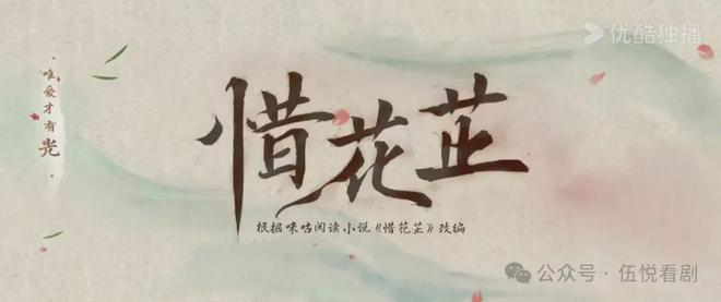 最新小说集萃，深度解析与观点探讨